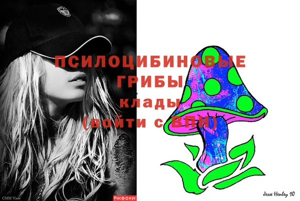 бошки Алзамай