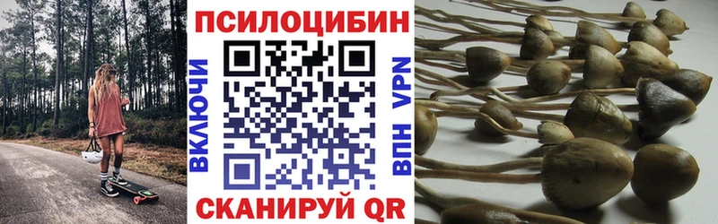 как найти   Ковылкино  Псилоцибиновые грибы ЛСД 